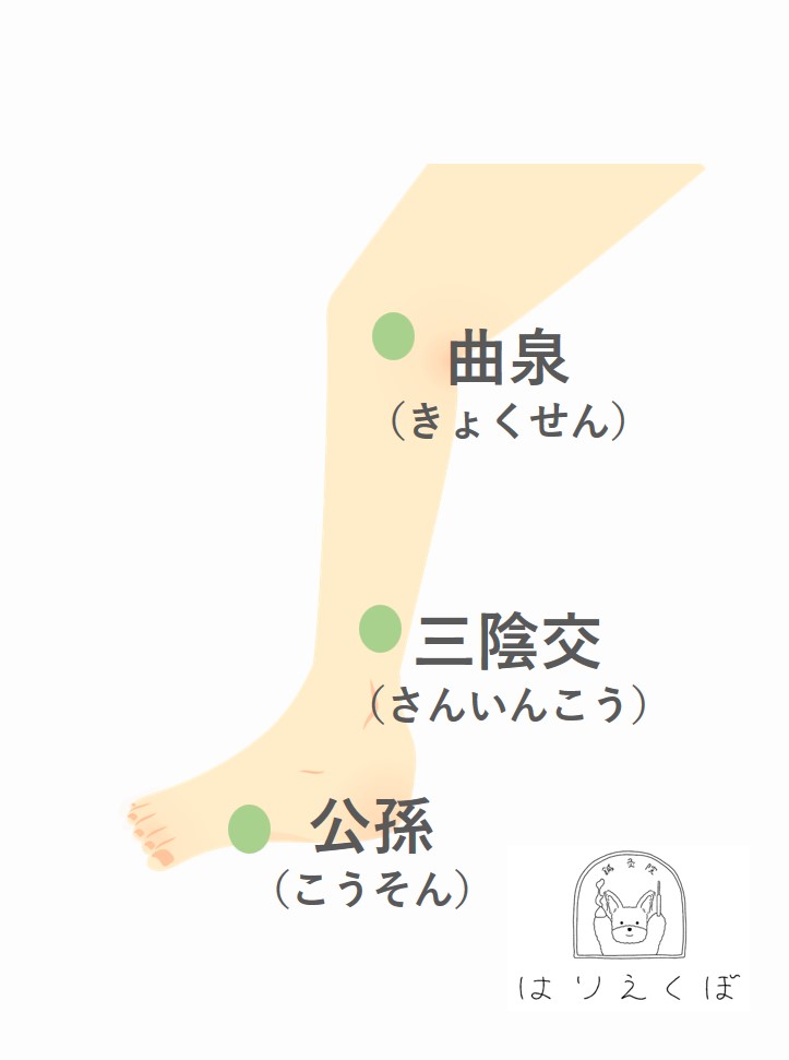 足のツボを説明する図で、曲泉、三陰交、公孫の位置が示されている