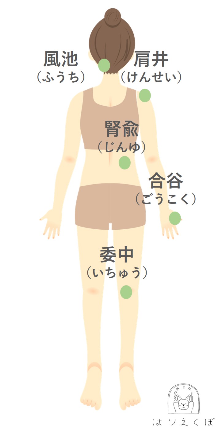 女性の背面図に5つのツボの位置が示されているイラスト風池肩井腎兪合谷委中