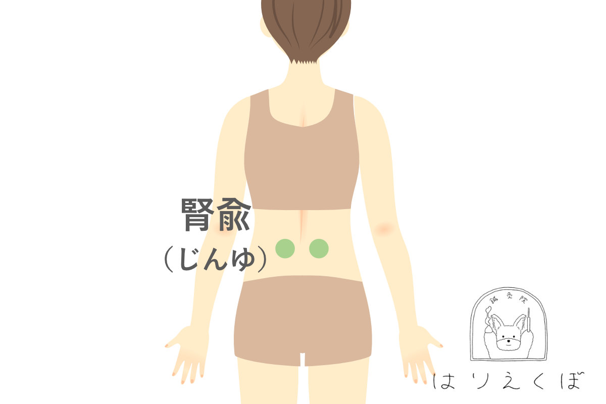 腎兪・腰のツボ