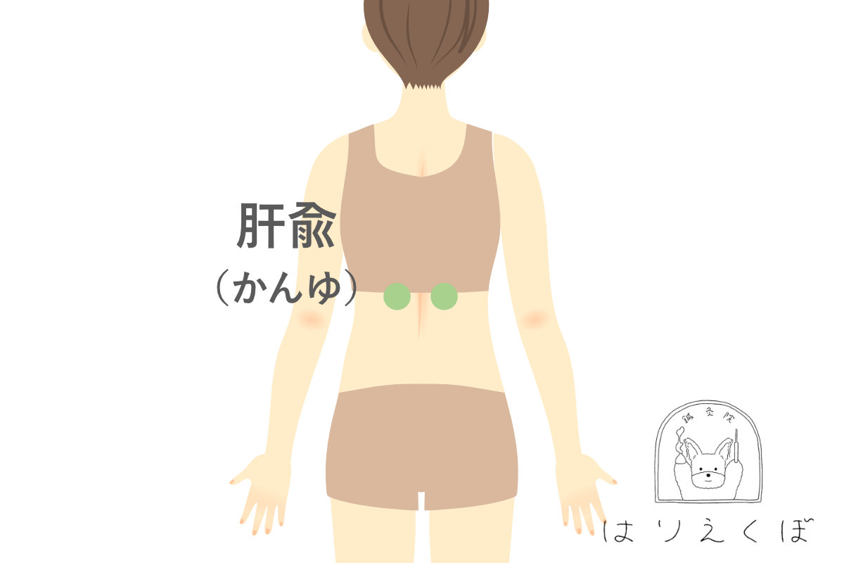 肝油:背中のツボ