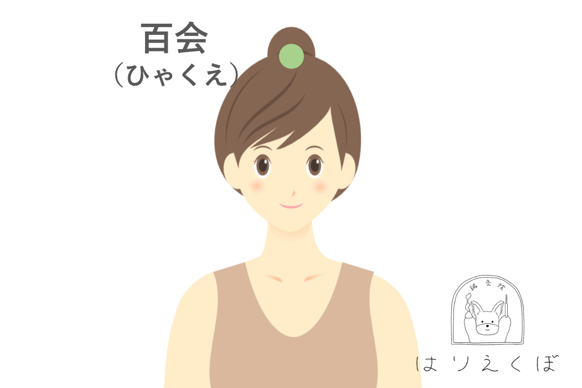 百会